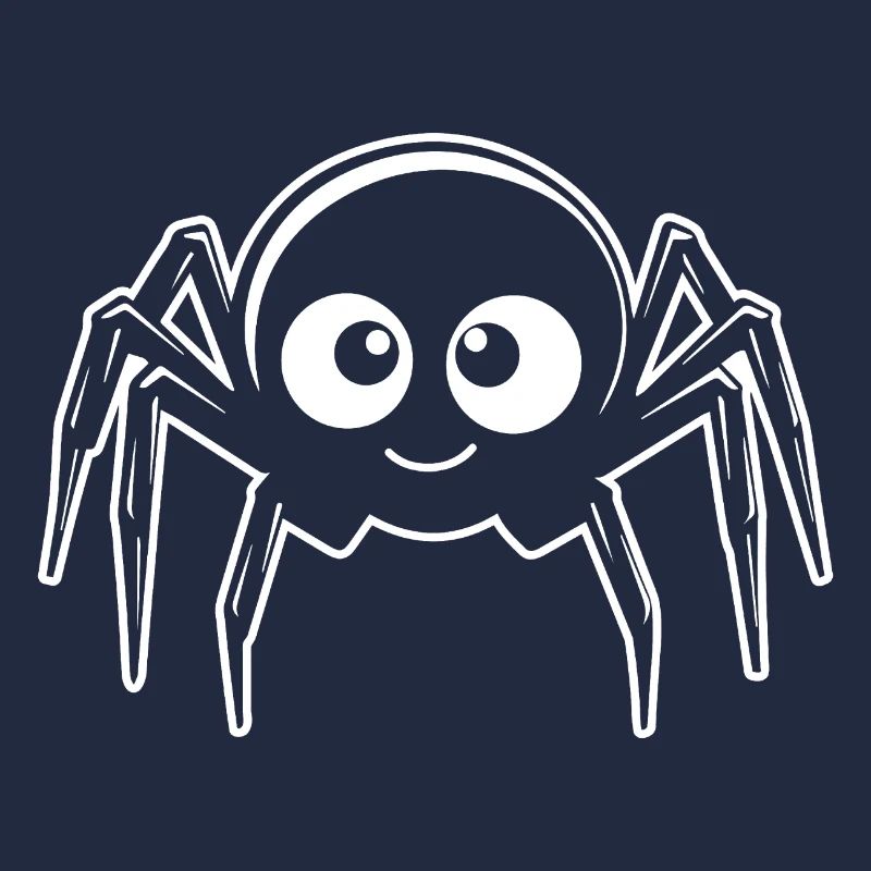 Spider spiders animals