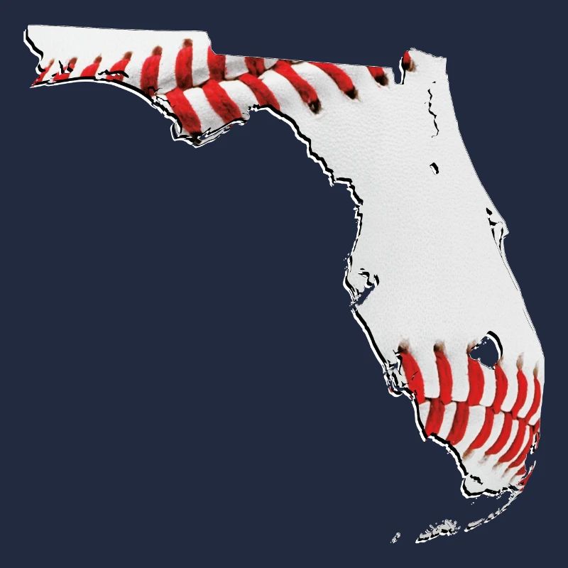 Real Baseball in Florida State Map