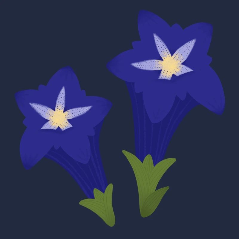 Blaue Enzianblüten