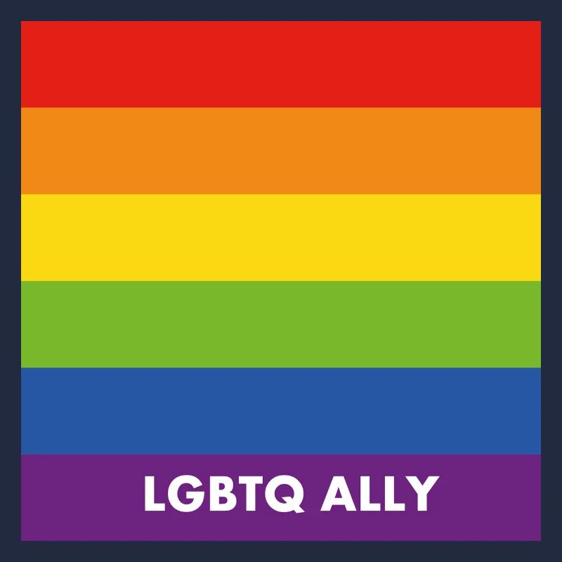 Pride Allyship LGBTQ Allié Drapeau arc-en-ciel