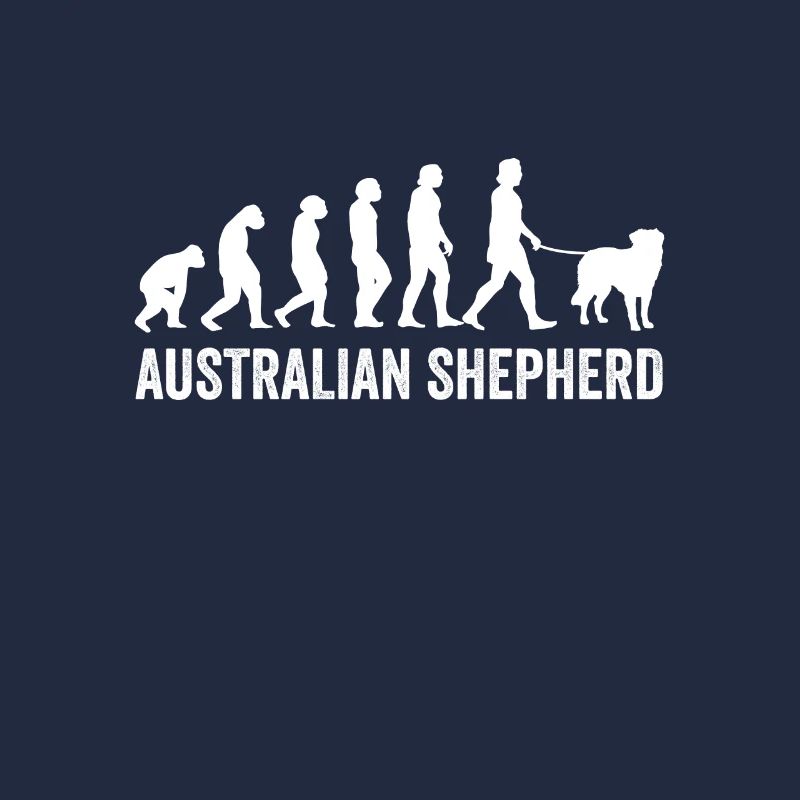 Australian Shepherd Evolution