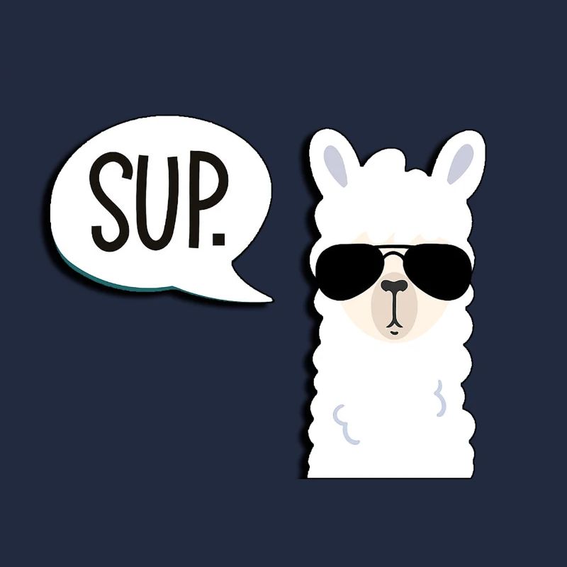 Lama lama alpaga