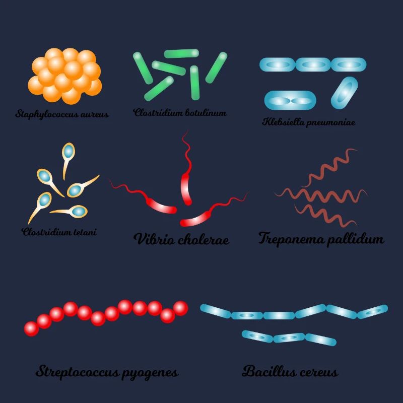 Famous bacteria - pathogens