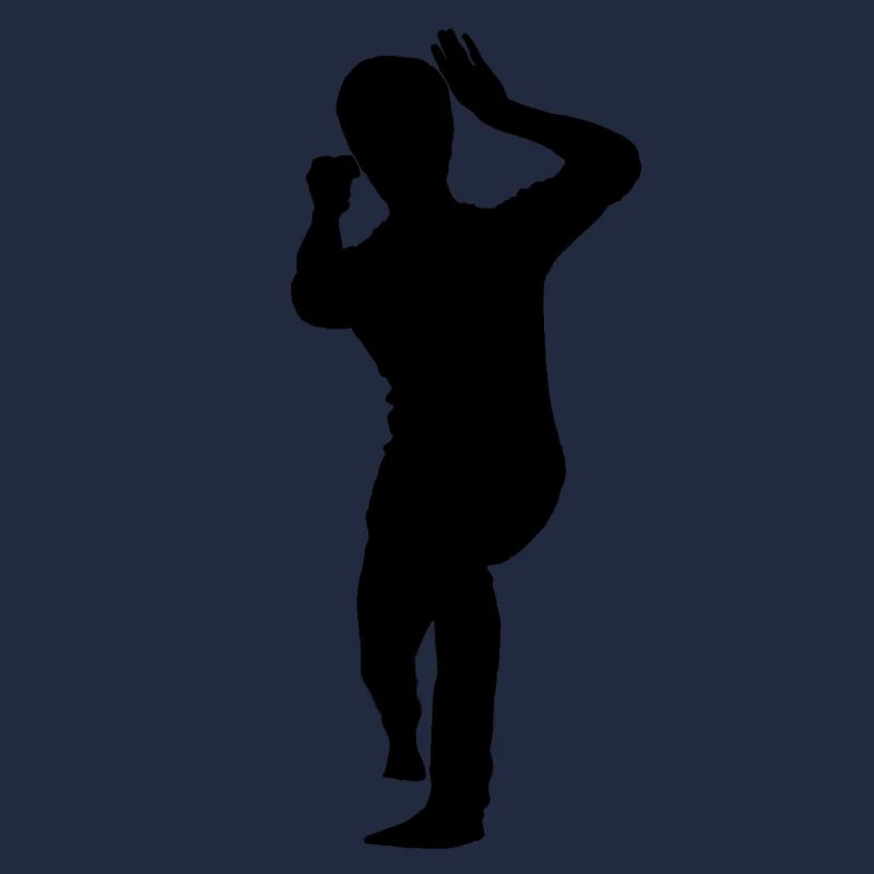 Bruce Lee Schatten Biu Da