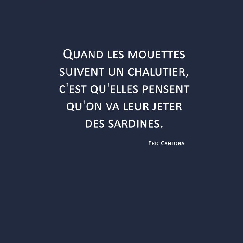 Möwen - Eric Cantona