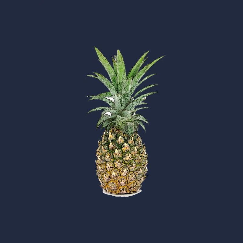 Ananas | Pineapple