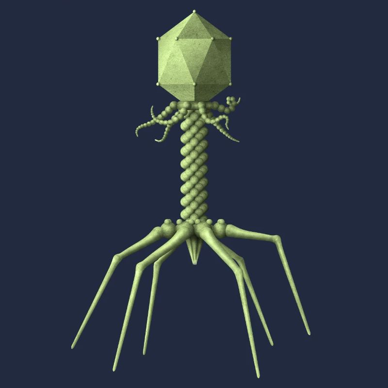 Phage