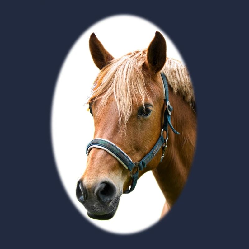 Cheval. Cheval.
