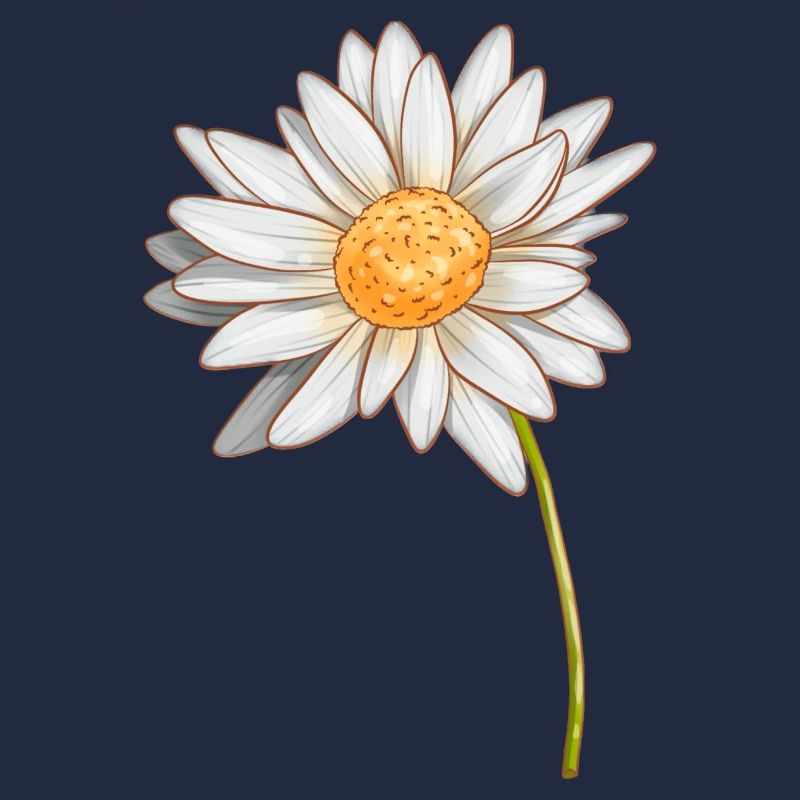 Daisy