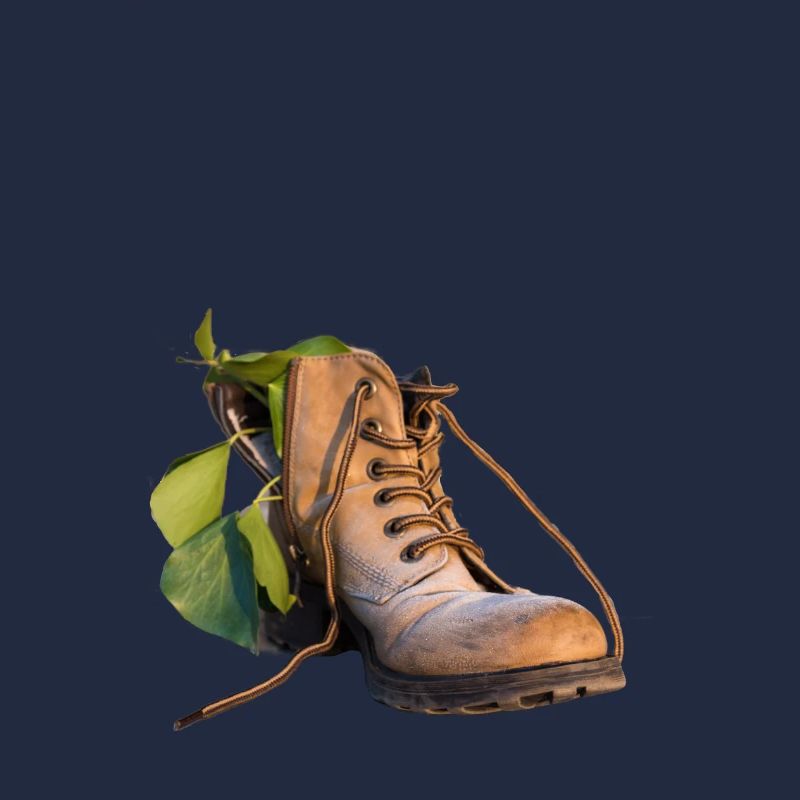 Schuh mit Grünpflanze