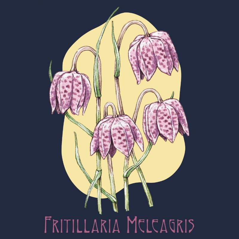 Cube checkerboard botanical drawing