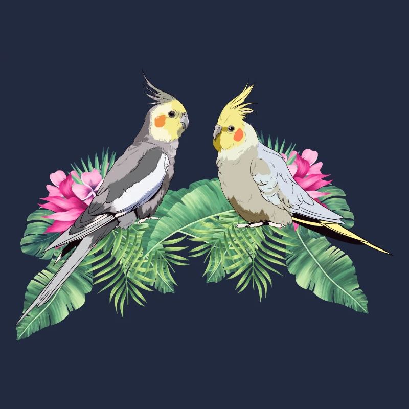 Perruche perruche calopsitte