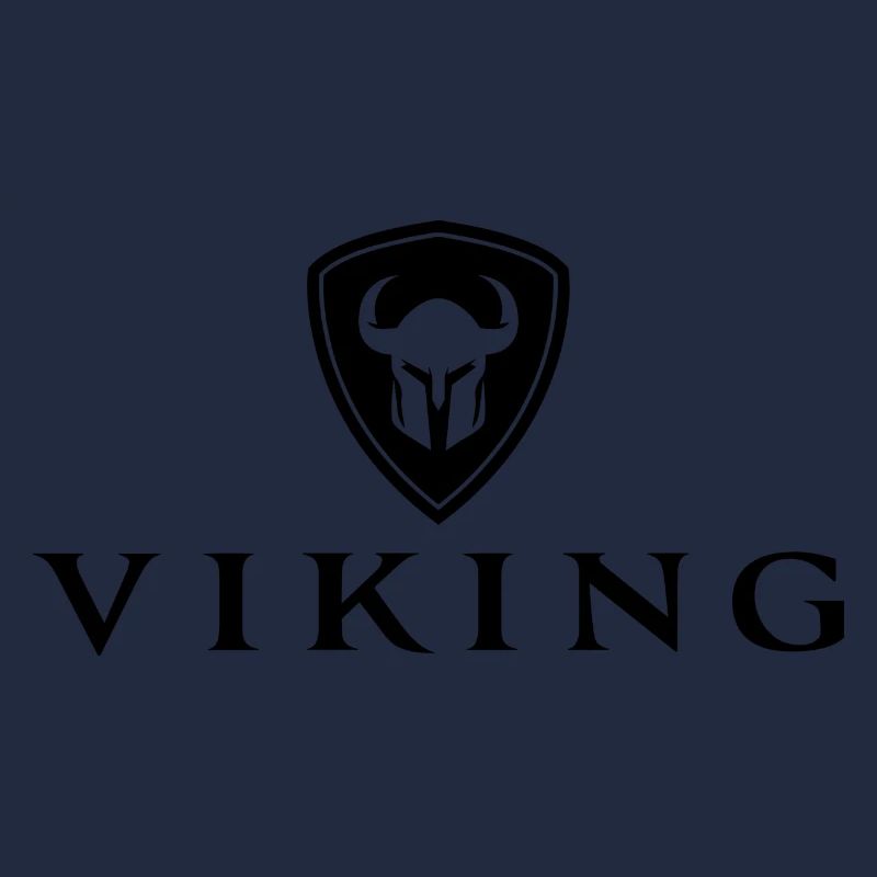 Bouclier Viking