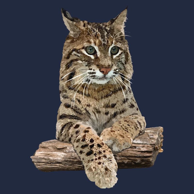 Luchs