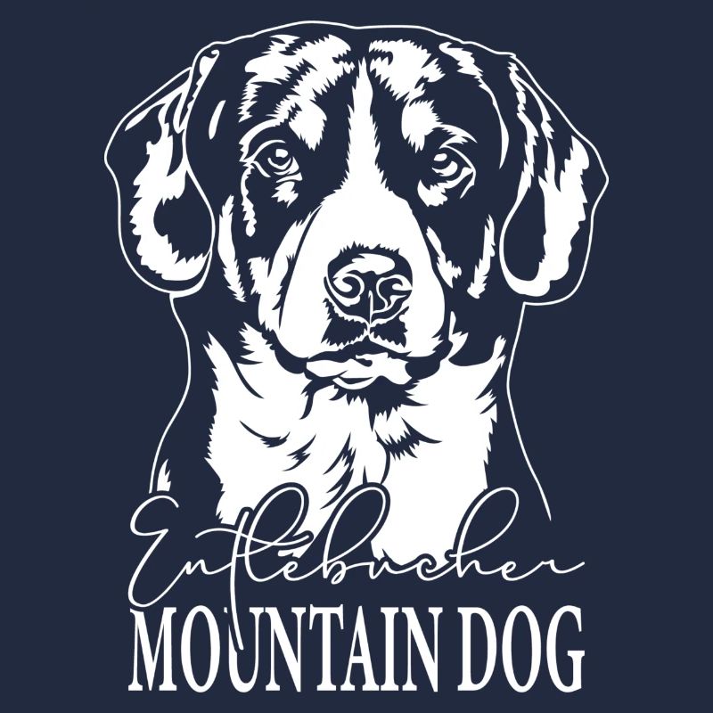 Entlebucher Mountain Dog Portrait Hunde Wilsigns