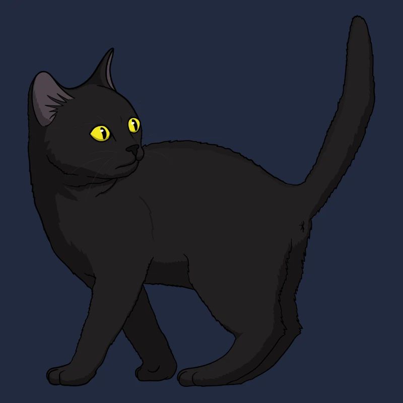 Cat Black
