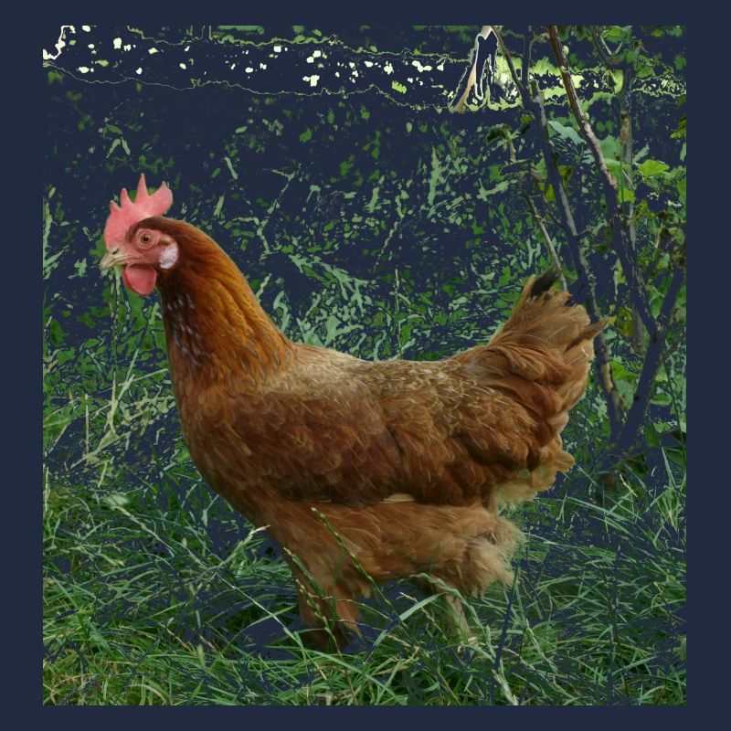 Huhn