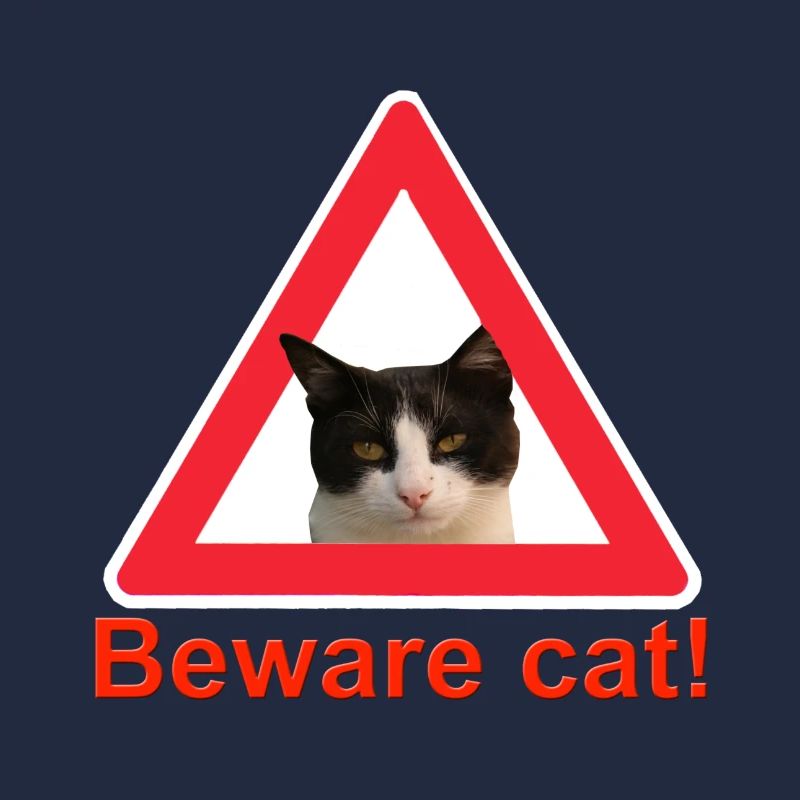 Attention chat signe de trafic chat dame