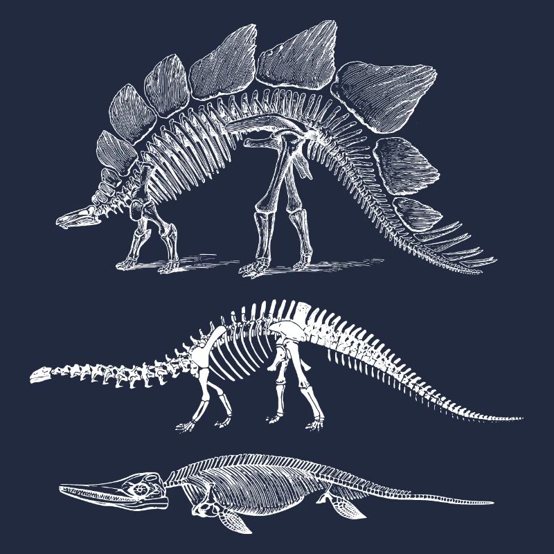 Dinosaur evolution