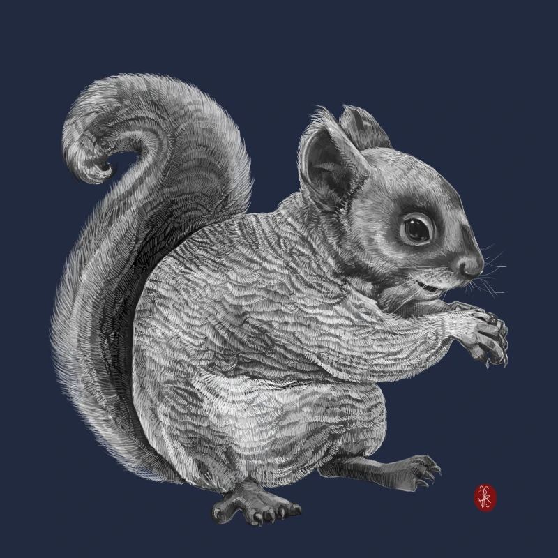 Eichhörnchen
