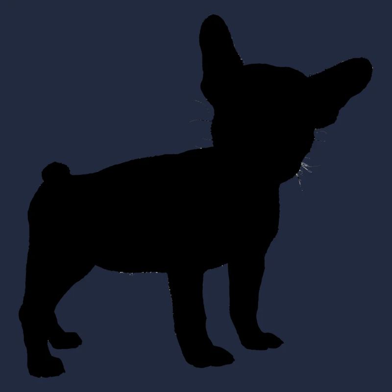 BOULEDOGUE FRANÇAIS OMBRE