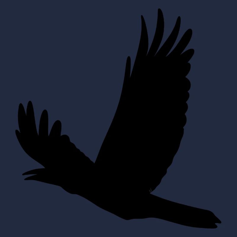 Fliegende Krähe