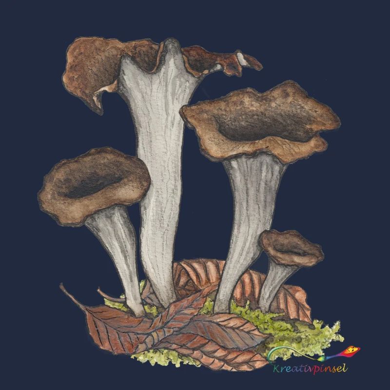 Herbst- oder Totentrompete, ein Pilz