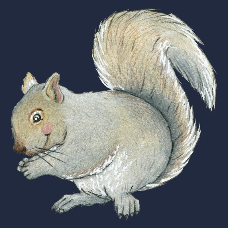 écureuil gris