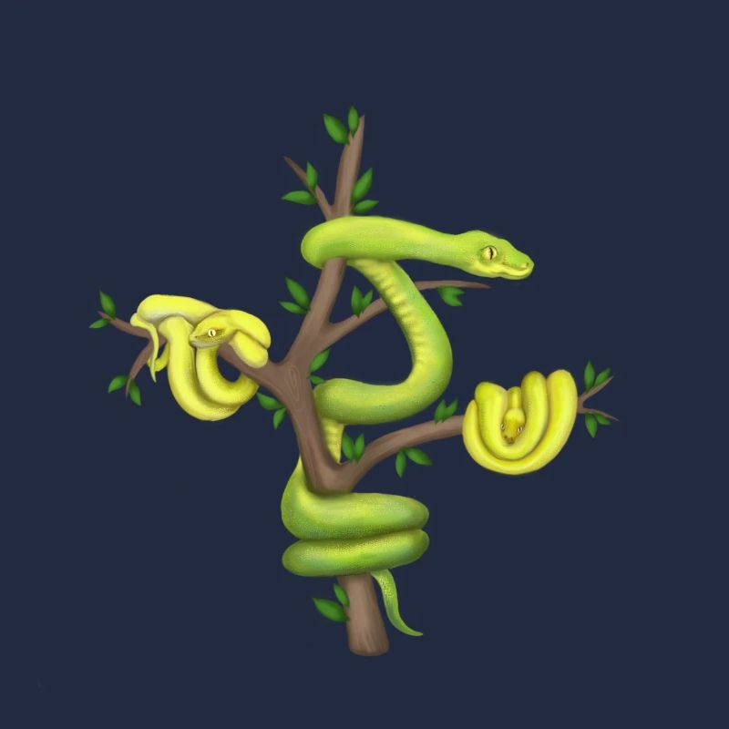 The Green Python - Tree Python