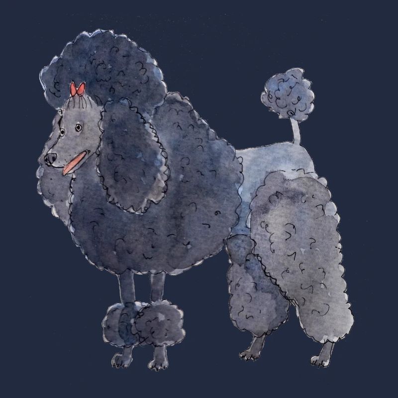 Poodle between - fun