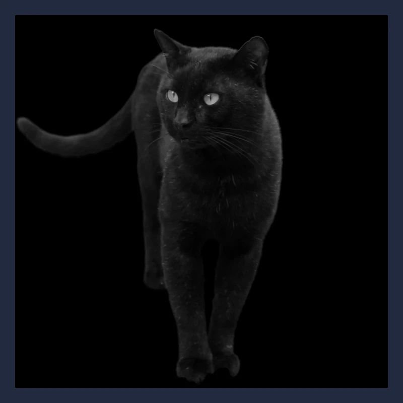 Chat noir Chat Chat Noir Chat Cadeau