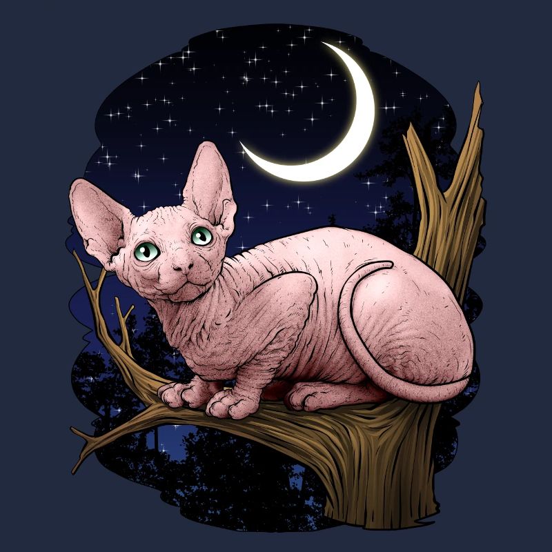 Sphynx