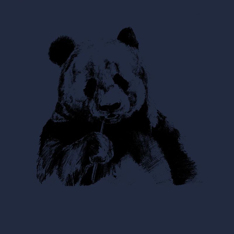 Schwarzer Panda