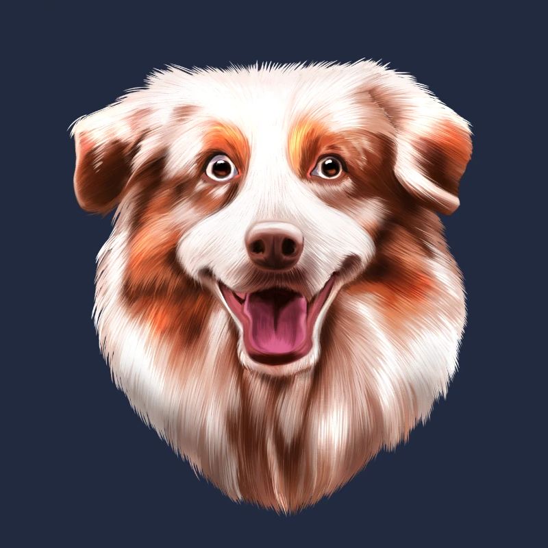 Australian Shepherd Aussie