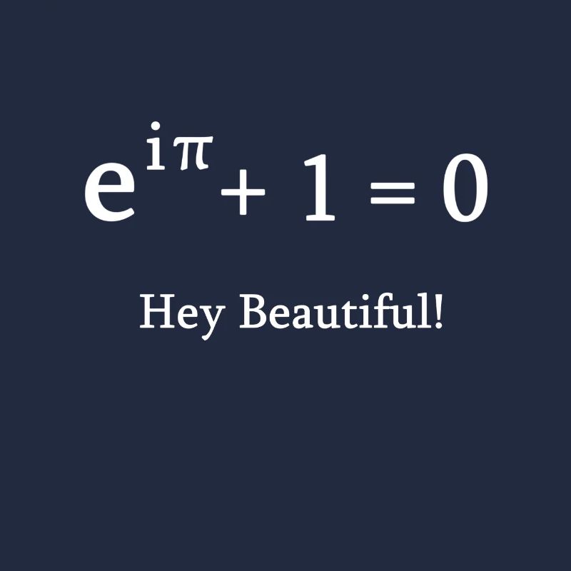 Euler identité math mathématicien nerd science pi