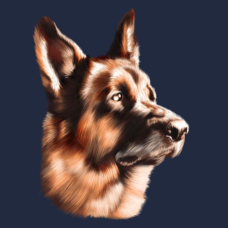 Deutscher Schäferhund