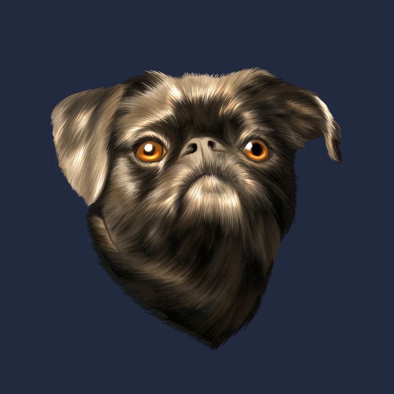 Brabant dwarf griffon