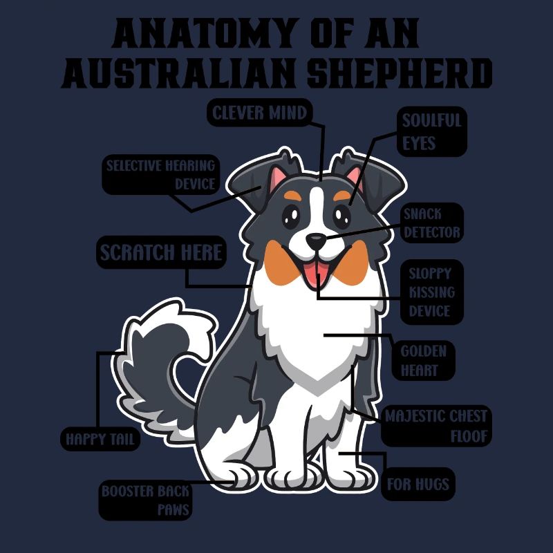 Berger australien Aussie Papa Aussie Maman