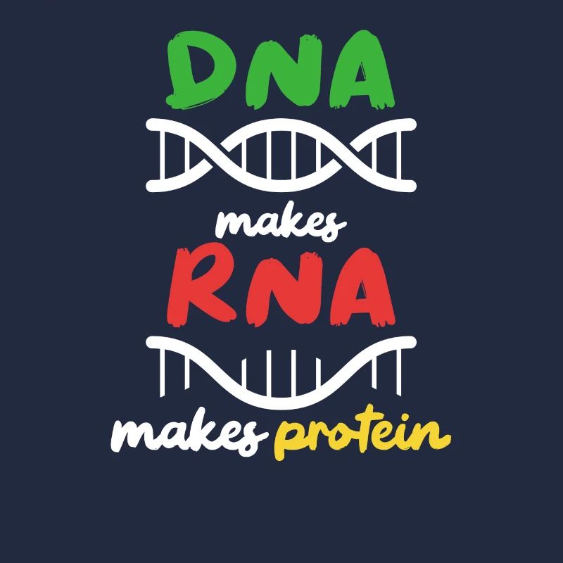 Aus DNA wird RNA wird Protein