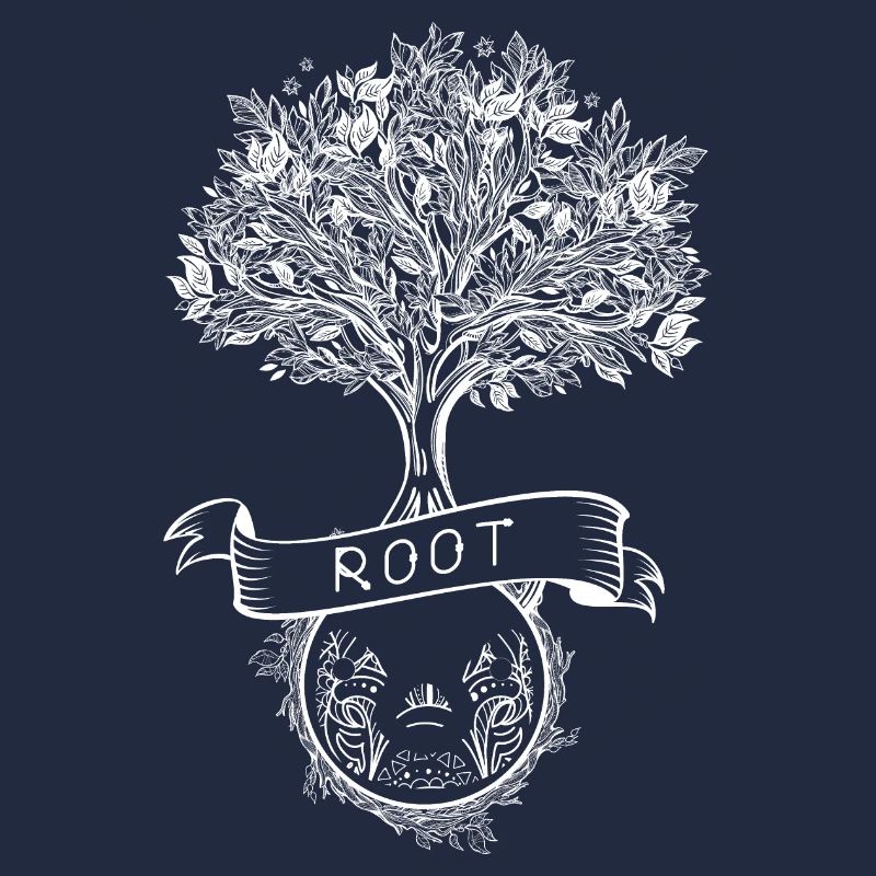 root user linux admin server