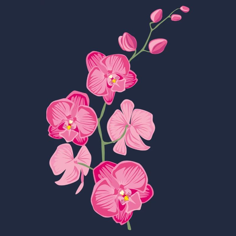 ORCHIDEEN Blume - Geschenk der Liebe - rosa pink