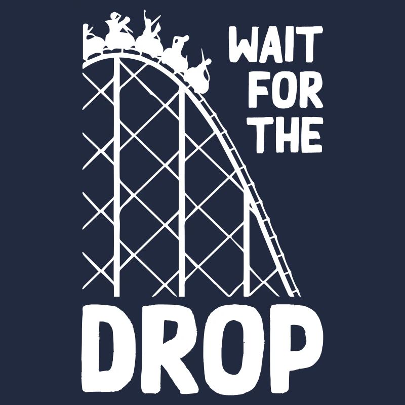 Wait For The Drop Roller Coaster