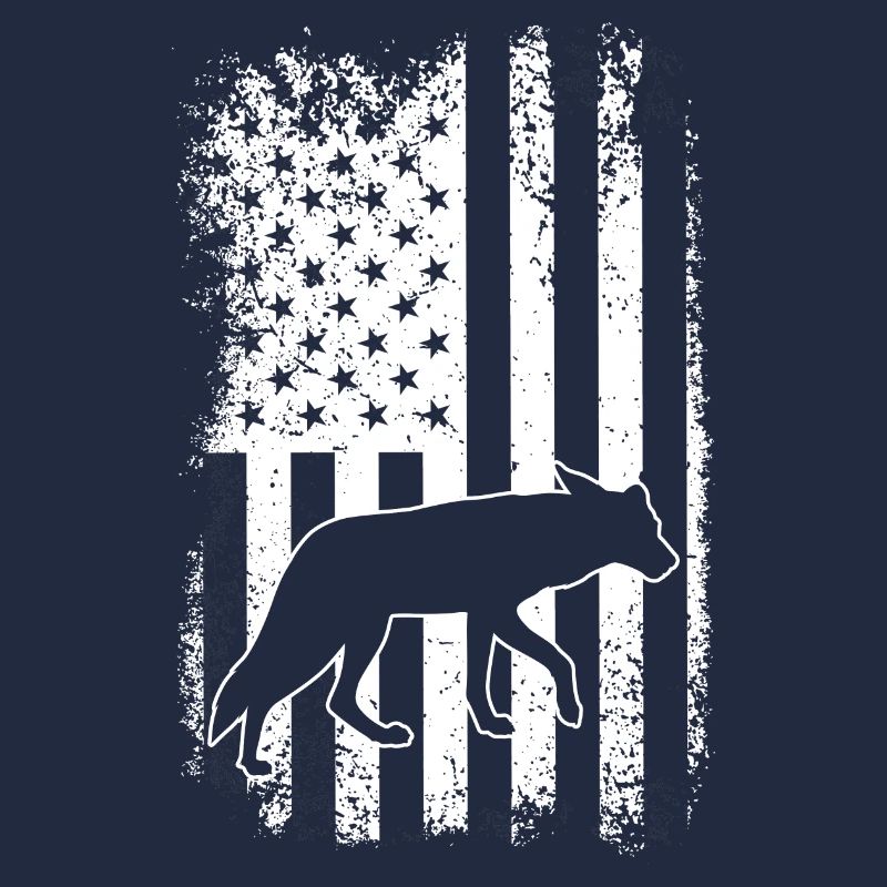 Conception de coyote pour les réacteurs de coyote