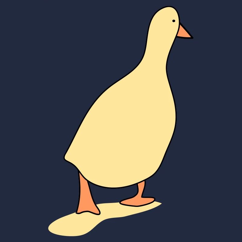 Oiseau canard 3