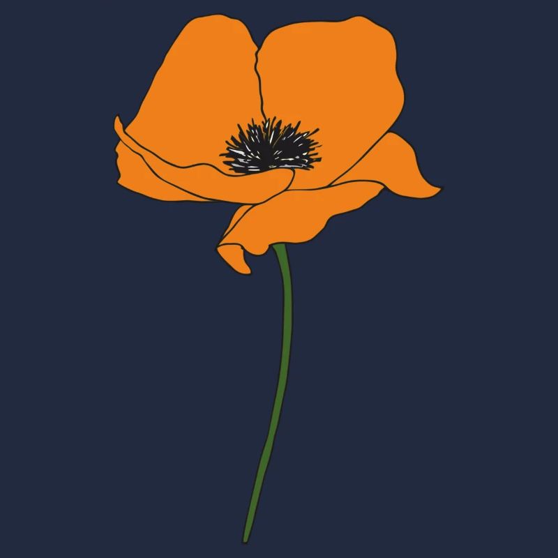 mohnblume orange
