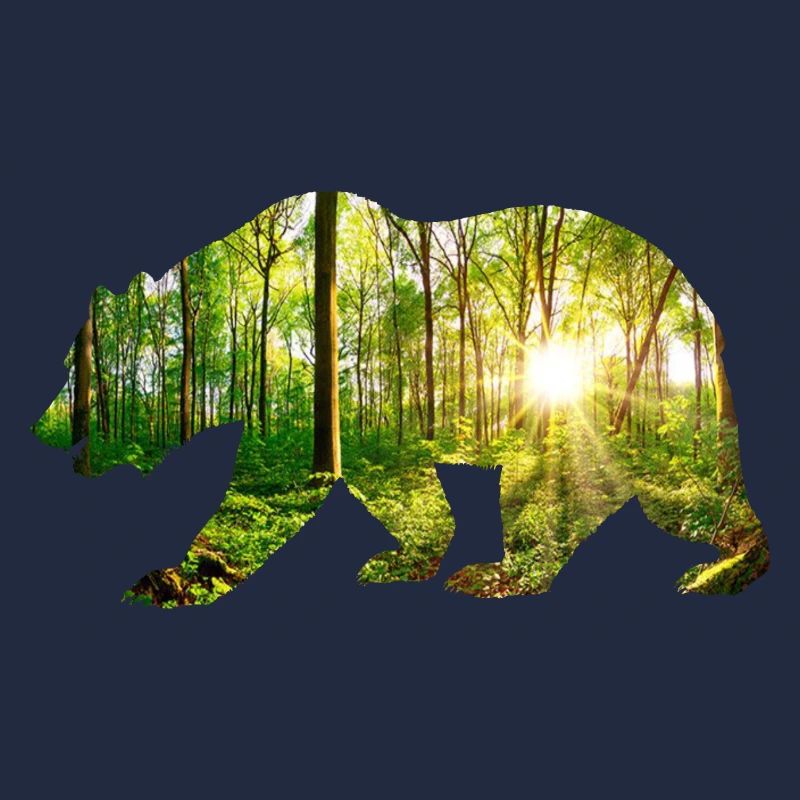 Bear environment