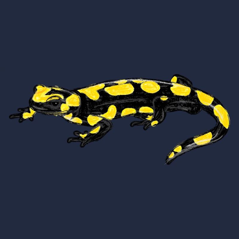 Salamandre tachetée I