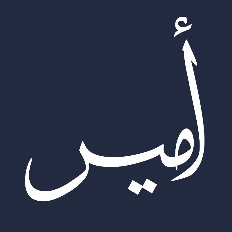 Amir Calligraphie Arabe Prénom
