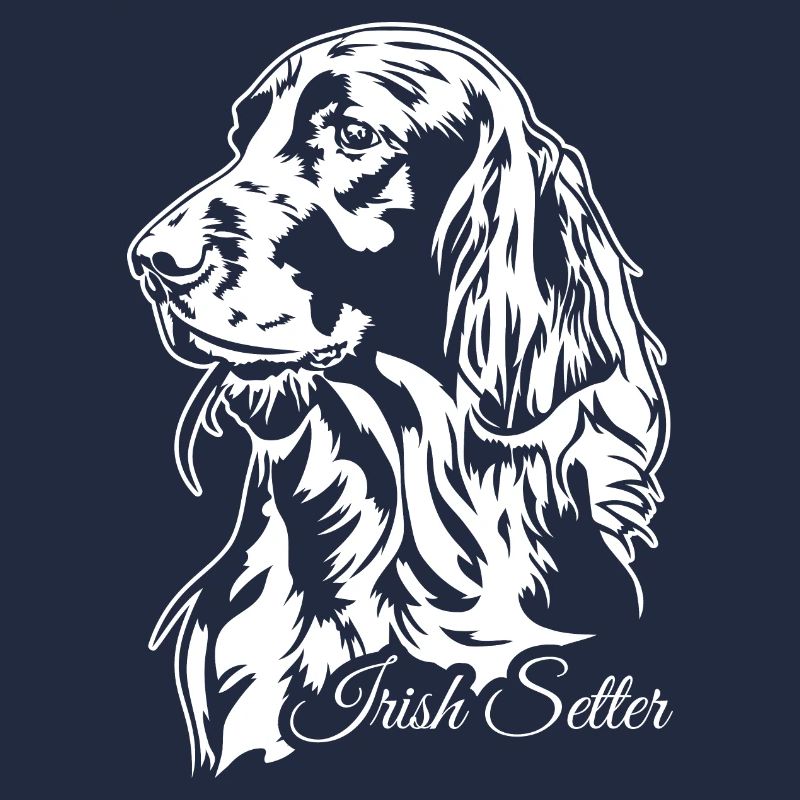 Setter irlandais Chien de chasse Chiens de chasse Chiens Wilsigns