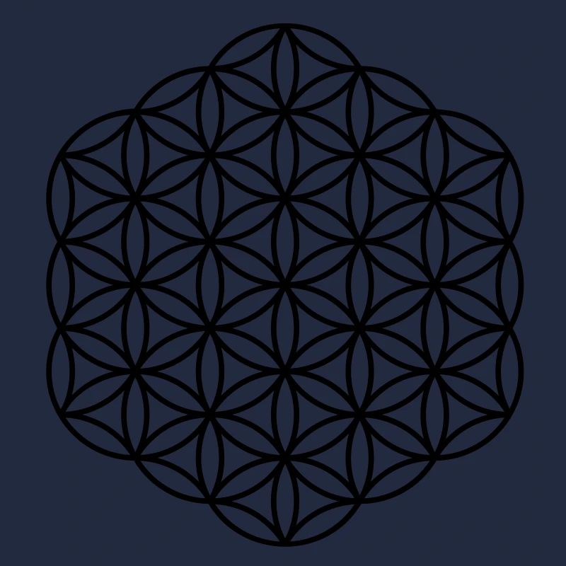 Fleur de la vie - Hexagon